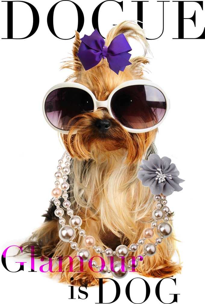 65_vogue_glamour_dog_dogue.png
